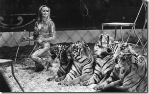 103774975_7th_November_1977__Animal_trainer_and_member_of_the_famous_circus_family_Mary_Chipperfield-large_trans  kUE_BTgBOQu3VWKvpDGX9T3e3kXlEd8LvlK2C4kwY10