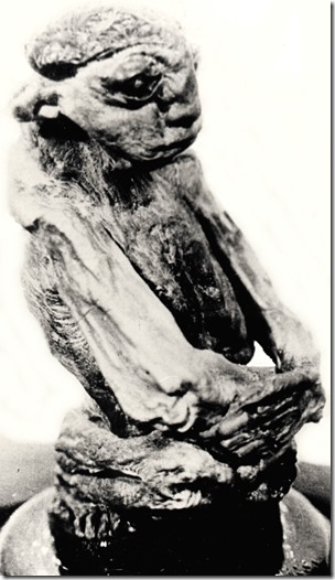 Pedro, Wyoming mini-mummy 2, public domain