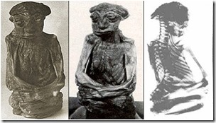 Pedro, Wyoming mini-mummy, public domain