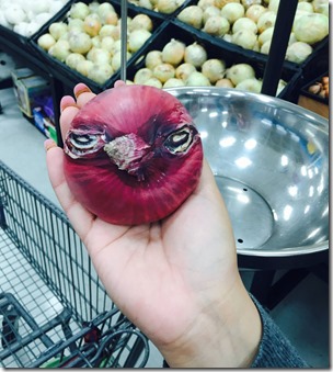 Cebolla-AngryBird