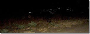 Cow-Herd-At-Night-01
