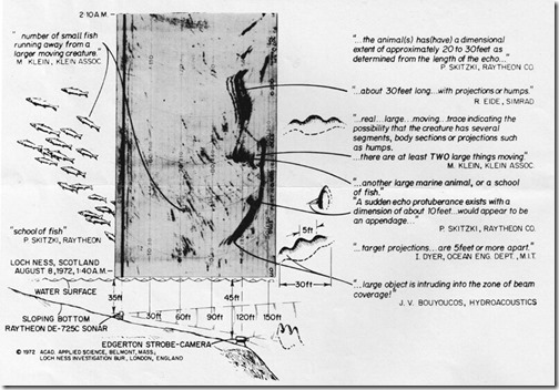 Nessie-1972-Flippers-Aug-2020-1972 sonar chart-800px-189kb-Aug-2020-Tetrapod-Zoology
