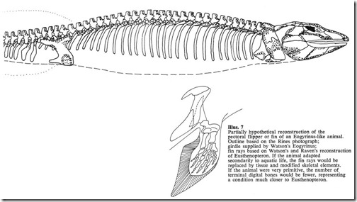 Nessie-1972-Flippers-Aug-2020-Mackal-embolomere-montage-1242px-137kb-Aug-2020-Tetrapod-Zoology