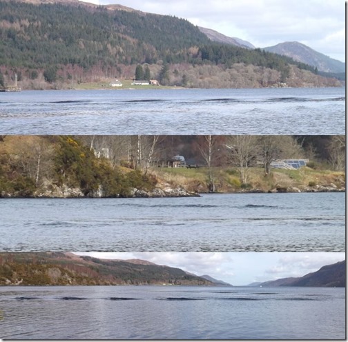Nessie-1972-Flippers-Aug-2020-wakes-on-Loch-Ness-800px-116kb-Aug-2020-Tetrapod-Zoology-Darren-Naish