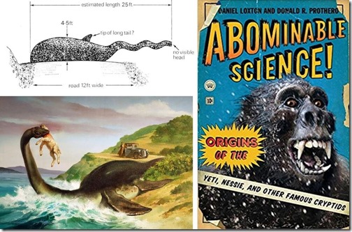 Naden-Habour-Cadborosaurus-carcass-Nov-2020-Loch-Ness-montage-1103px-171kb-Nov-2020-Tetrapod-Zoology
