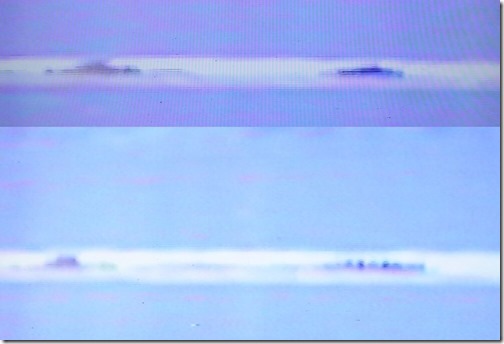 Migo-1994-Feb-2021-Migo-footage-stills-1115px-65kb-Feb-2021-Darren-Naish-Tetrapod-Zoology