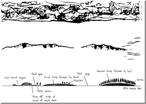 Migo-1994-Feb-2021-migo-drawings-composite-2-985px-92kb-Feb-2021-Darren-Naish-Tetrapod-Zoology
