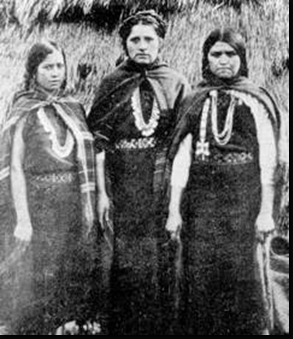 Mapuches