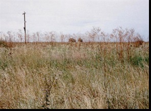 Crotto BA (9) Entre los campos cerealeros, asoma el Palo 3, indicador del Km 307 del FC Gral Roca