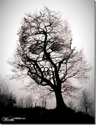 tree-of-death-photomanipulation