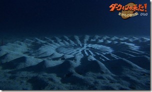 underwater-mystery-circle-11-580x348