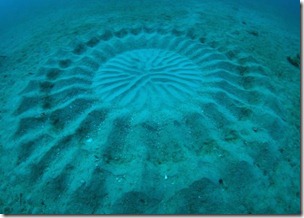 underwater-mystery-circle-2-580x414