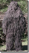 Ghillie2