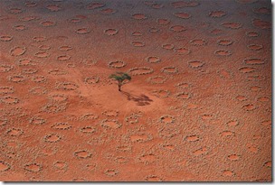 fairy-circles-1