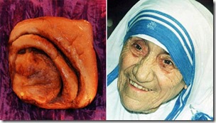 _67841301_nunbun_ap_motherteresa_gett