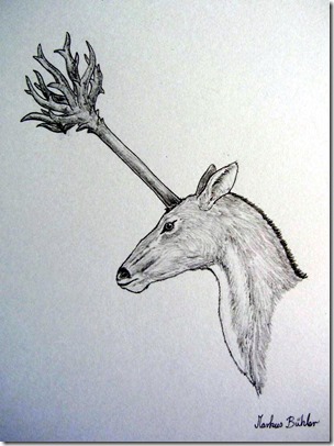 Hercynian unicorn-stag