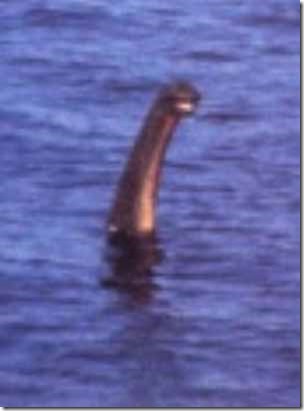 Loch-Ness-Monster-Shiels-muppet-photo-small-version-300-px-tiny-July-2013