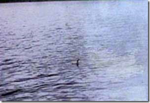 Loch-Ness-Monster-photo-Surgeons-uncropped-300-px-tiny-July-2013