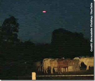 UFO's Over Cow Field in Stamford, UK - August 2013