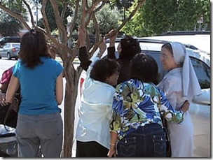 WPTV-prayers-at-tree-dripping-bug-excrement_20130810153428_320_240