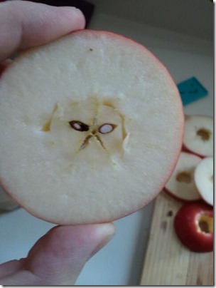 GatoGruñonManzana