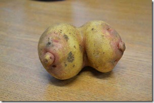 potato shaped like pair of breasts