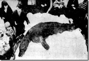 1972 Nessie Carcass