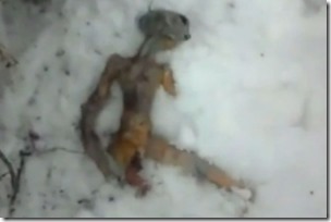 Alien-found-near-Irkutsk-Siberia2