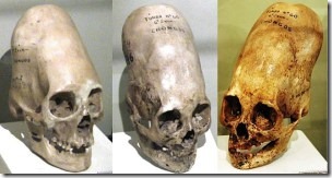 paracas_skulls