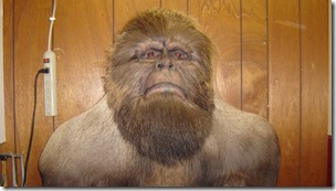 Sasquatch_MaliMish_FLickr