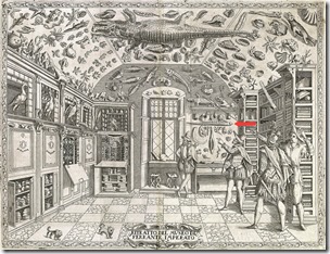 Ferrante Imperato's cabinet of curiosities, with oarfish, arrowed
