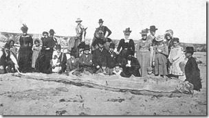Regalecus on the beach at Newport, Orange County, Caifornia, 1907