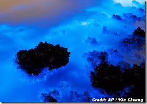 Eerie Blue Glow in Hong Kong Waters