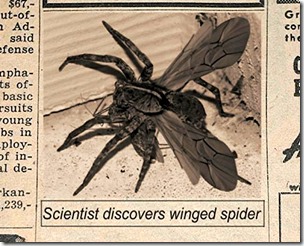 Winged spider in fake newspaper clipping