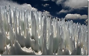 Field-of-penitentes_997223i