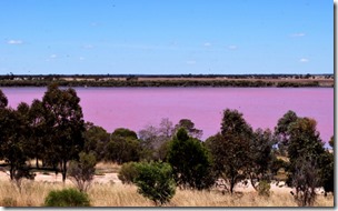 Pink-Lake-Phunny