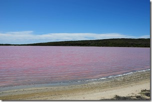 Pink-water-at-Lake-Hillier