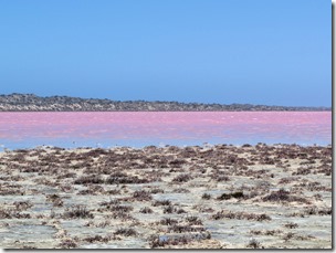 hutt_lagoon7_-_graeme_kirkwood