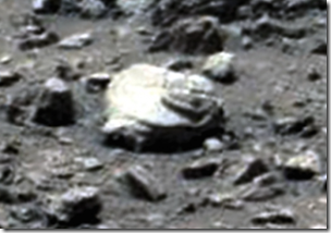 Mars-trilobite--570x398