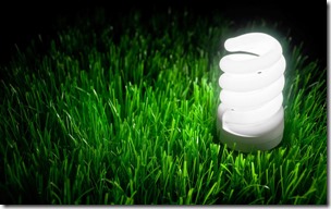 Energy saving bulb glowing in green grass