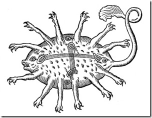 Antibes Sea Monster of 1562