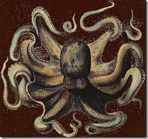 Sinister-looking octopus, c1800, dark bgd, pub dom