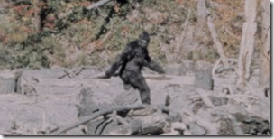 bigfoot-Resized