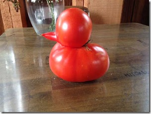 TomatePato
