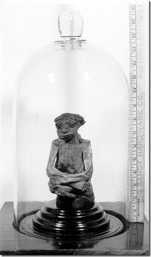 Pedro, Wyoming mini-mummy 3, public domain