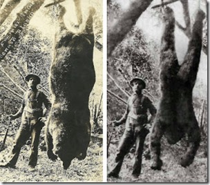 Alaskan bear photo and dead bigfoot photo