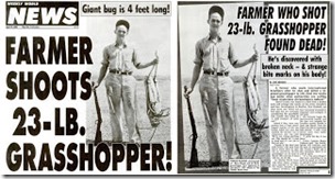 2 WWN giant grasshopper reports