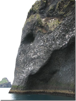 basal-sea-cliff-formed-volcanic-eruption-remains-icelands-dramatic-formation-5-480x640