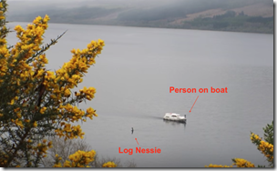 log-nessie-800x491