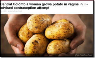 potato-vagina